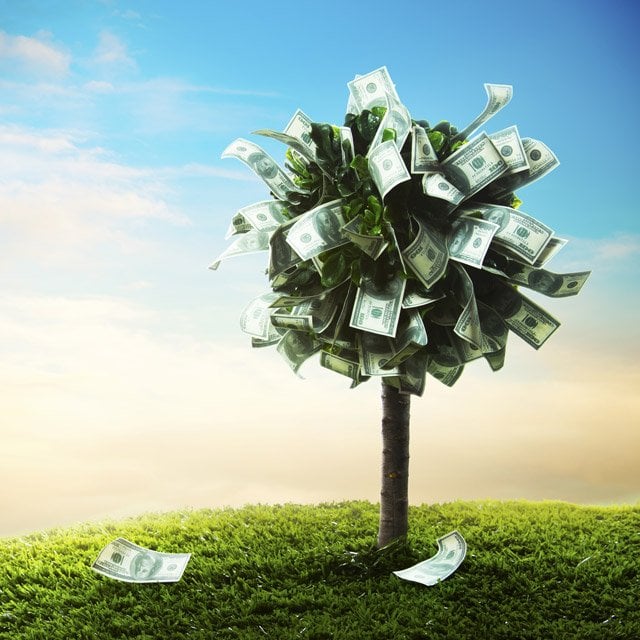 13 Best Dividend ETFs for Passive Income: Morningstar